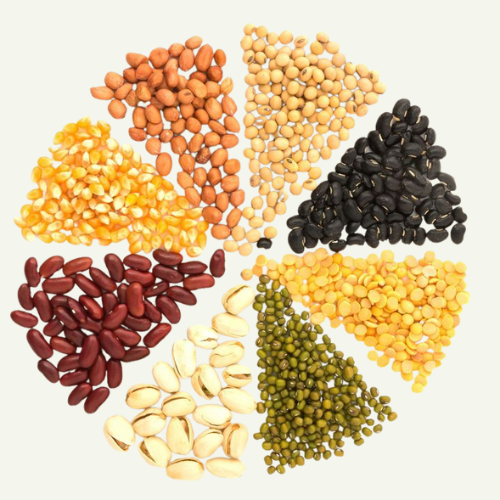 Pulses & Beans